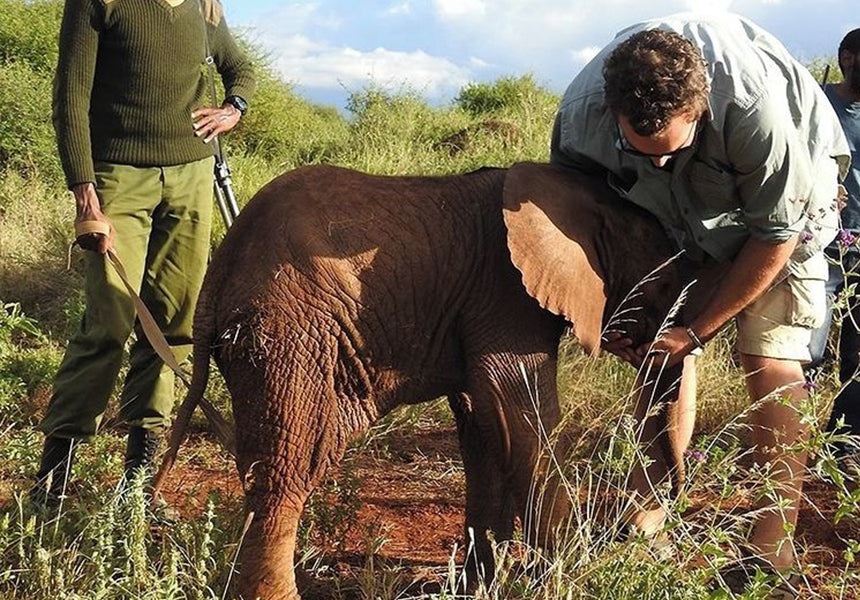 DR.TUSK HITS THE TRAIL