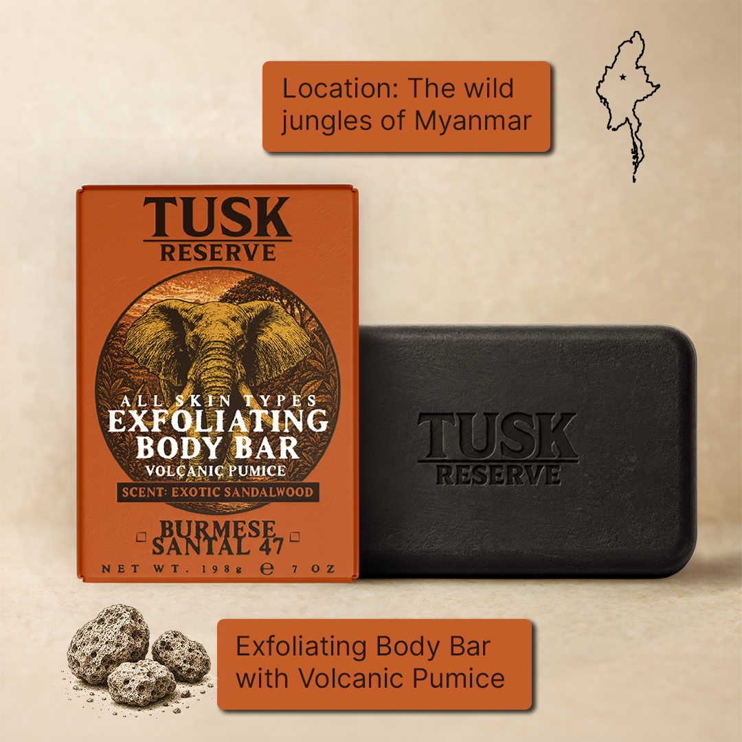 Burmese Santal 47